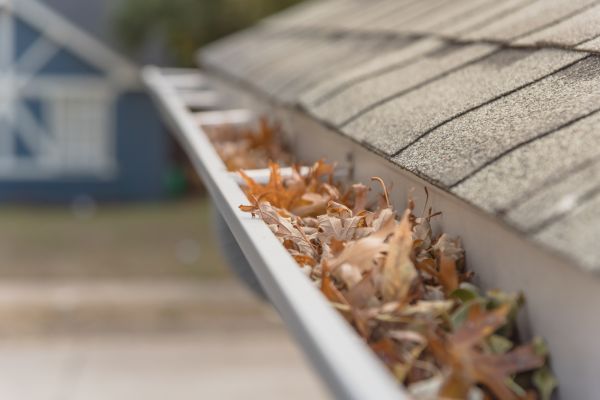 Leaf Barrier Installation in Waterford